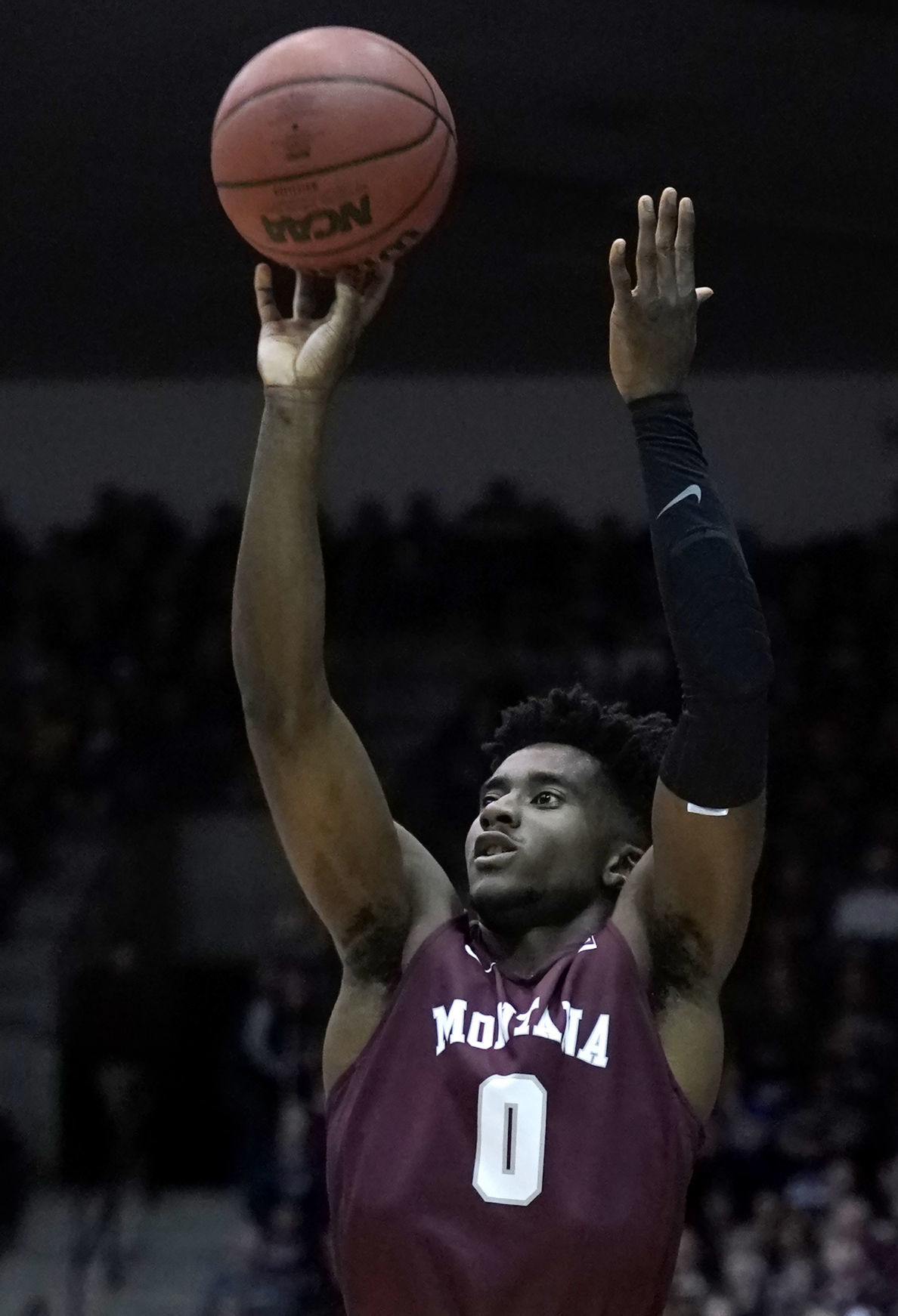 Griz v Cats-6-tm.jpg